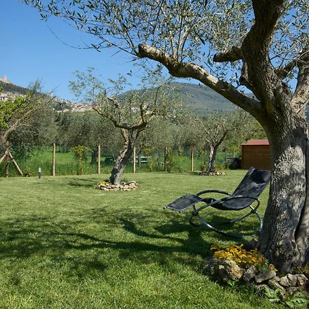 Il Granaio Di Rossetti Elisabetta Hotel Assisi Exterior photo