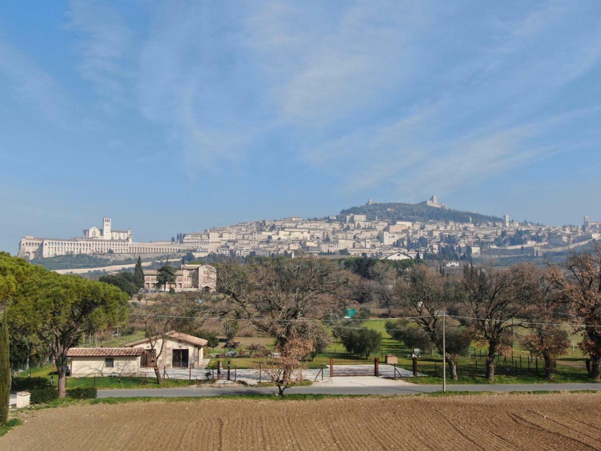 Il Granaio Di Rossetti Elisabetta Hotel Assisi Exterior photo